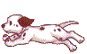 chien-footer