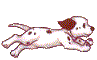 chien-footer