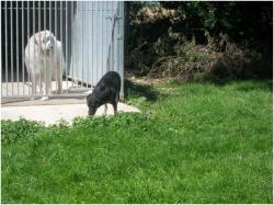 14_juillet_2012.jpg