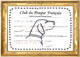Diplome De Falco